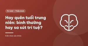 Hình minh họa bộ não trên nền đỏ nâu – Hay quên tuổi trung niên: bình thường hay sa sút trí tuệ?